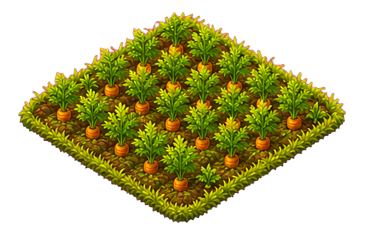 Ripe carrots ready to harvest